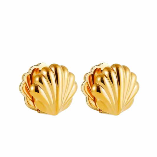 CONCHIGLIETTE