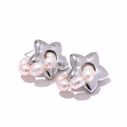 “STELLA CADENTE”