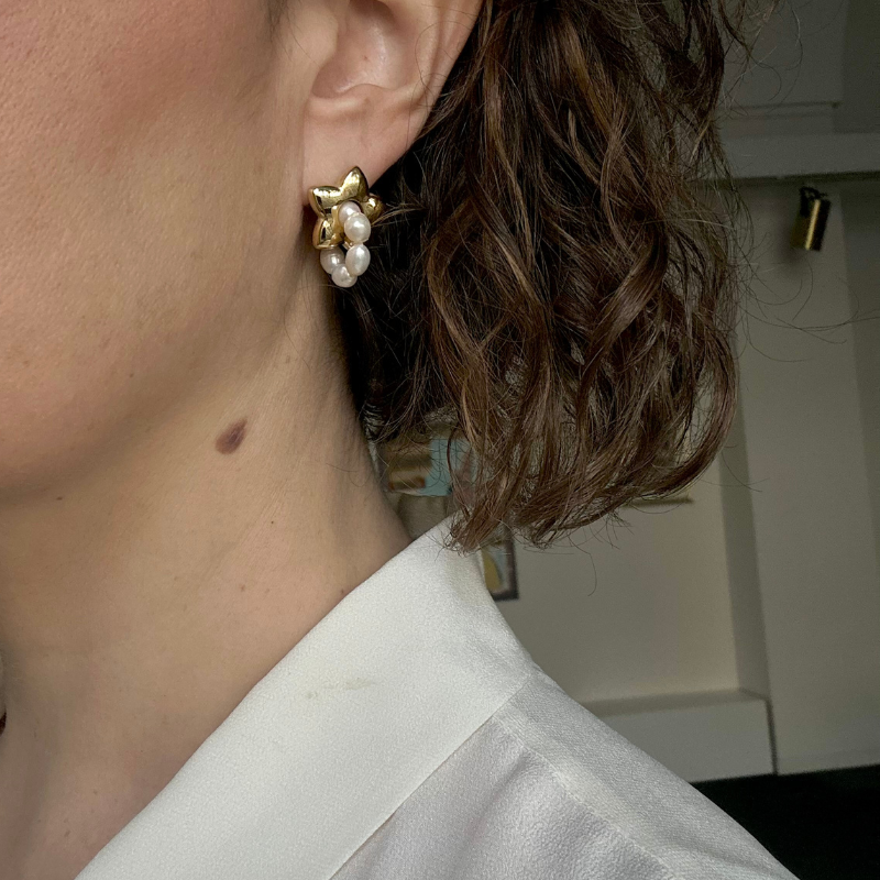 “STELLA CADENTE”